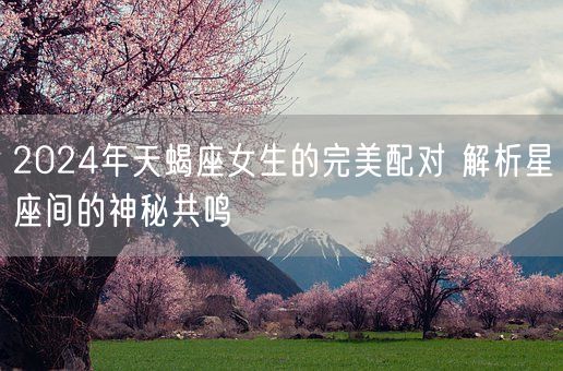 2024年天蝎座女生的完美配对 解析星座间的神秘共鸣(图1)