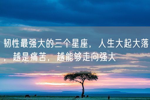 韧性最强大的三个星座，人生大起大落，越是痛苦，越能够走向强大(图1)