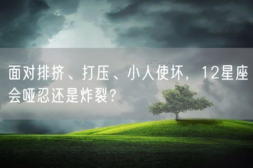 面对排挤、打压、小人使坏，12星座会哑忍还是炸裂？(图1)