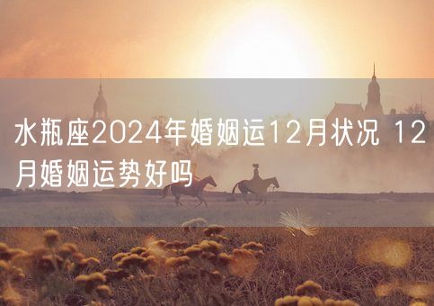 水瓶座2024年婚姻运12月状况 12月婚姻运势好吗(图1)
