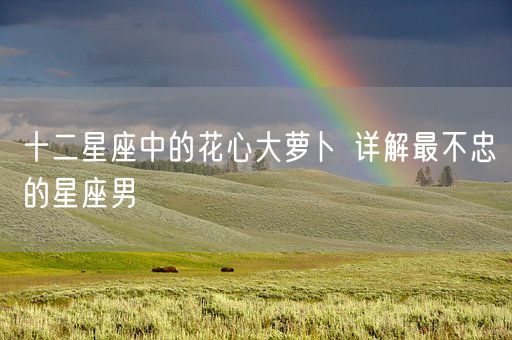 十二星座中的花心大萝卜 详解最不忠的星座男(图1)