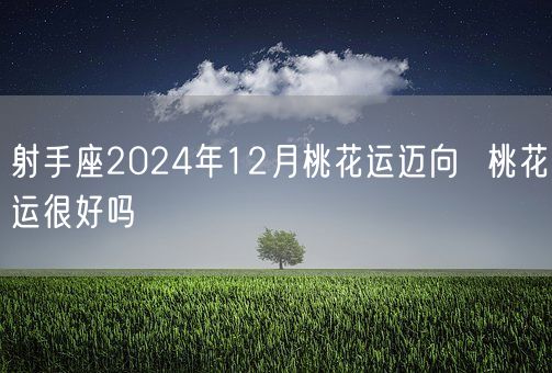 射手座2024年12月桃花运迈向  桃花运很好吗(图1)