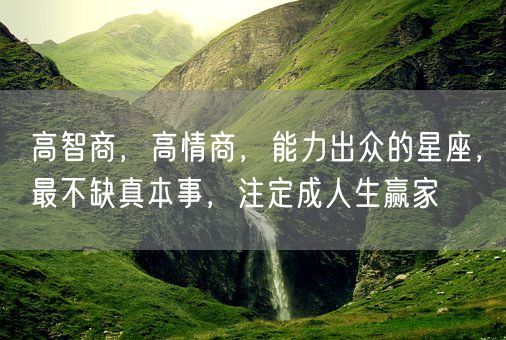 高智商，高情商，能力出众的星座，最不缺真本事，注定成人生赢家(图1)