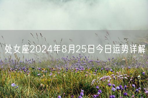 处女座2024年8月25日今日运势详解(图1)