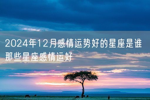 2024年12月感情运势好的星座是谁 那些星座感情运好(图1)