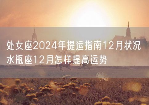 处女座2024年提运指南12月状况 水瓶座12月怎样提高运势(图1)
