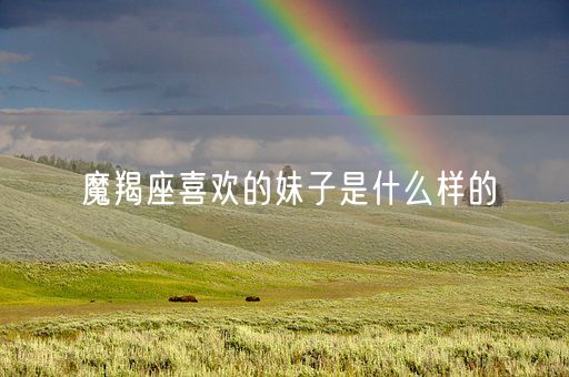 魔羯座喜欢的妹子是什么样的(图1)