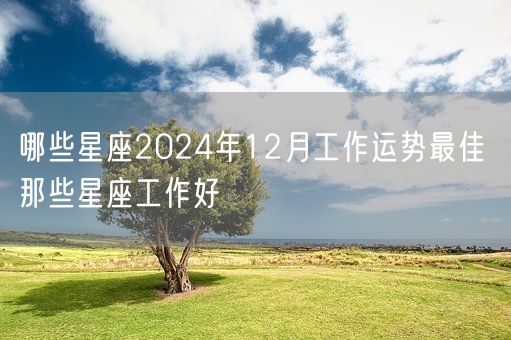 哪些星座2024年12月工作运势最佳 那些星座工作好(图1)