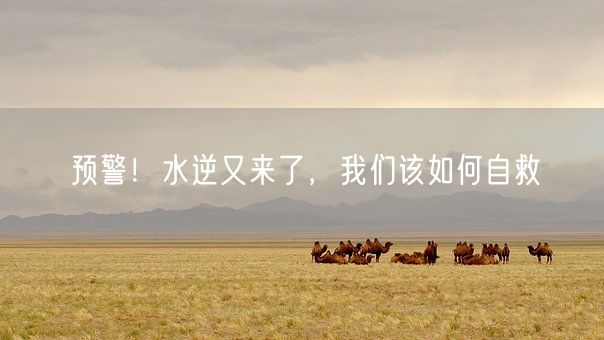 预警！水逆又来了，我们该如何自救(图1)