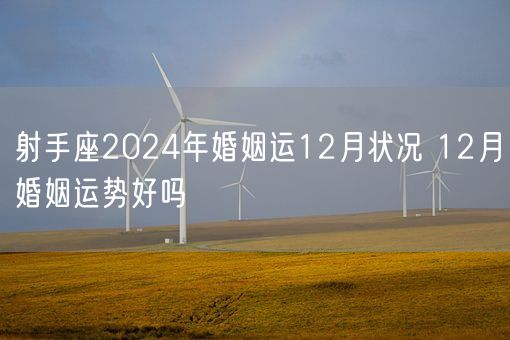 射手座2024年婚姻运12月状况 12月婚姻运势好吗(图1)