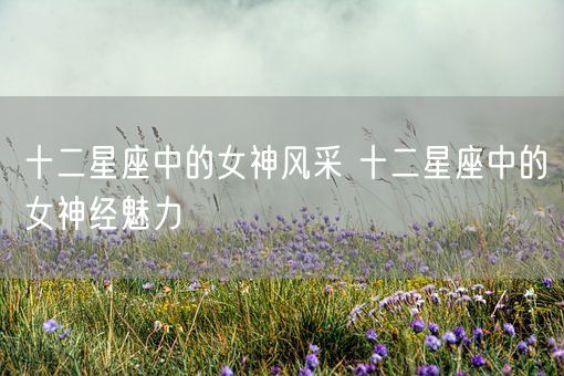 十二星座中的女神风采 十二星座中的女神经魅力(图1)