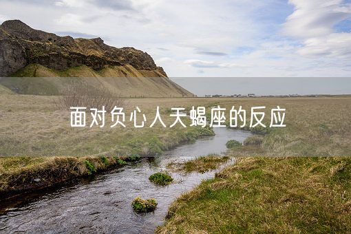 面对负心人天蝎座的反应(图1)