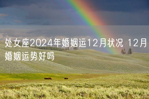 处女座2024年婚姻运12月状况 12月婚姻运势好吗(图1)