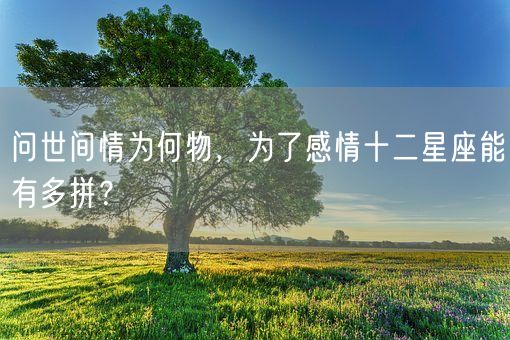 问世间情为何物，为了感情十二星座能有多拼？(图1)
