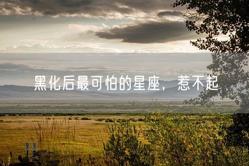黑化后最可怕的星座，惹不起(图1)
