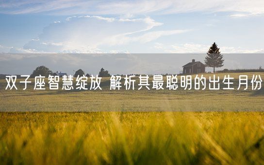 双子座智慧绽放 解析其最聪明的出生月份(图1)