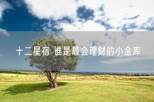 十二星宿 谁是最会理财的小金库(图1)