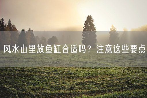 风水山里放鱼缸合适吗？注意这些要点(图1)