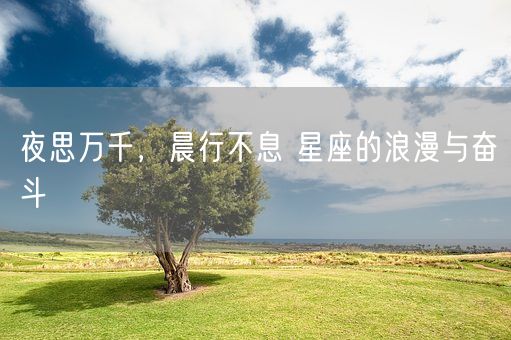 夜思万千，晨行不息 星座的浪漫与奋斗(图1)