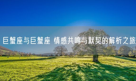 巨蟹座与巨蟹座 情感共鸣与默契的解析之旅(图1) 巨蟹座与巨蟹座 情感共鸣与默契的解析之旅(图1)