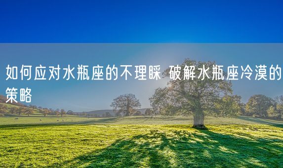如何应对水瓶座的不理睬 破解水瓶座冷漠的策略(图1)