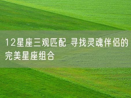 12星座三观匹配 寻找灵魂伴侣的完美星座组合(图1)