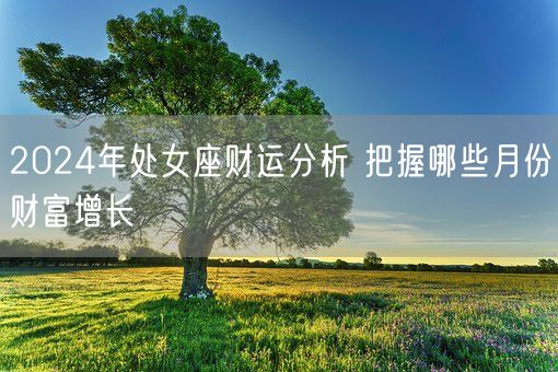 2024年处女座财运分析 把握哪些月份财富增长(图1)