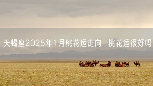 天蝎座2025年1月桃花运走向  桃花运很好吗(图1)