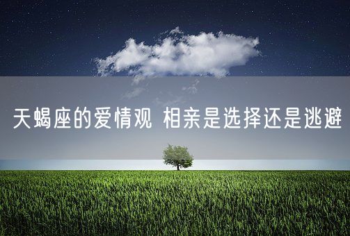 天蝎座的爱情观 相亲是选择还是逃避(图1)