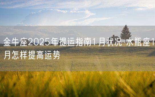 金牛座2025年提运指南1月状况 水瓶座1月怎样提高运势(图1)