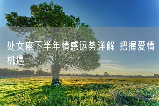 处女座下半年情感运势详解 把握爱情机遇(图1)