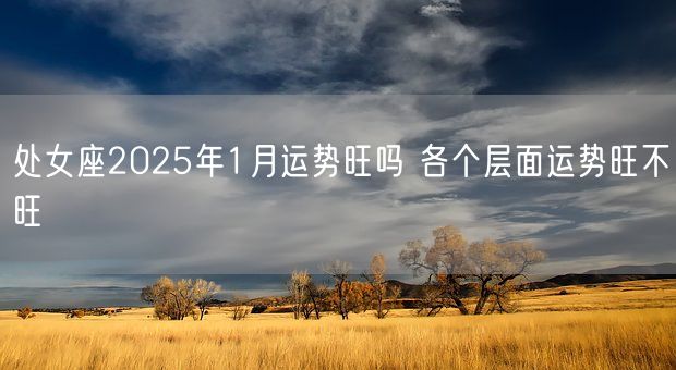 处女座2025年1月运势旺吗 各个层面运势旺不旺(图1)