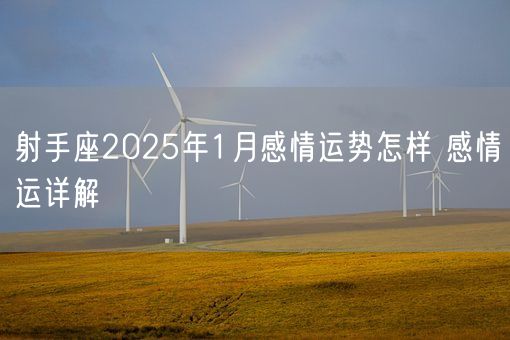 射手座2025年1月感情运势怎样 感情运详解(图1)