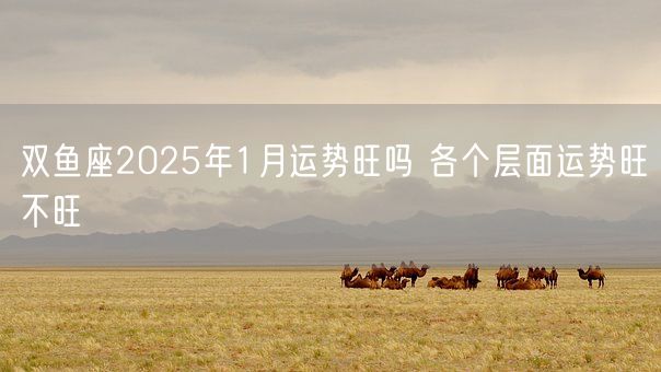 双鱼座2025年1月运势旺吗 各个层面运势旺不旺(图1)