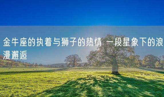 金牛座的执着与狮子的热情 一段星象下的浪漫邂逅(图1)