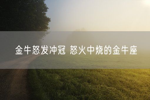 金牛怒发冲冠 怒火中烧的金牛座(图1)