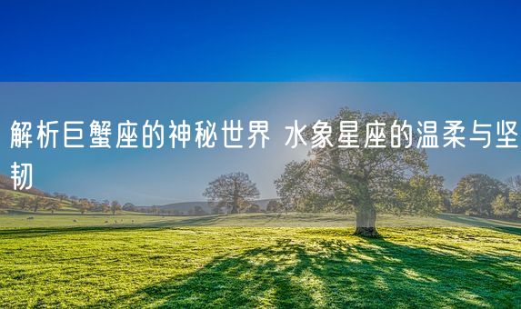 解析巨蟹座的神秘世界 水象星座的温柔与坚韧(图1) 解析巨蟹座的神秘世界 水象星座的温柔与坚韧(图1)
