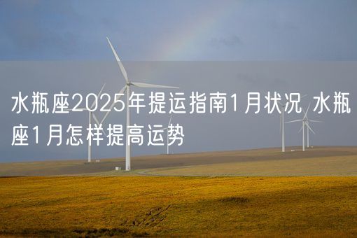 水瓶座2025年提运指南1月状况 水瓶座1月怎样提高运势(图1)