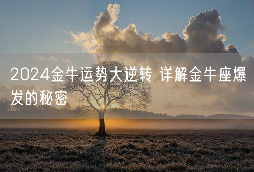 2024金牛运势大逆转 详解金牛座爆发的秘密(图1)