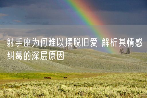 射手座为何难以摆脱旧爱 解析其情感纠葛的深层原因(图1)