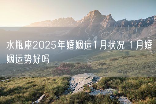 水瓶座2025年婚姻运1月状况 1月婚姻运势好吗(图1)