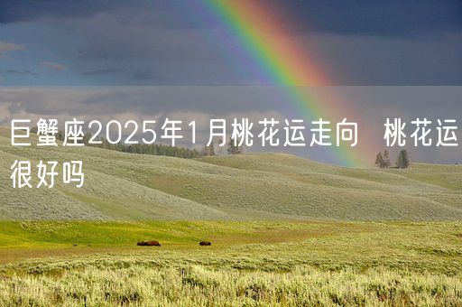 巨蟹座2025年1月桃花运走向  桃花运很好吗(图1)