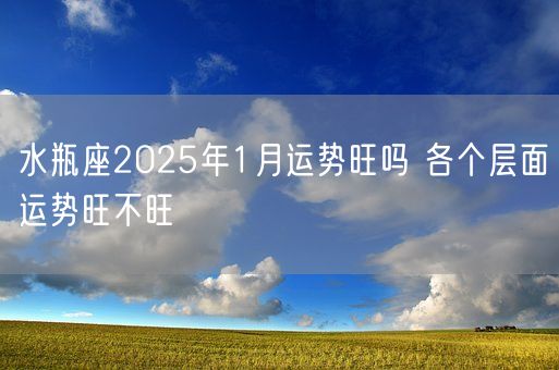 水瓶座2025年1月运势旺吗 各个层面运势旺不旺(图1)