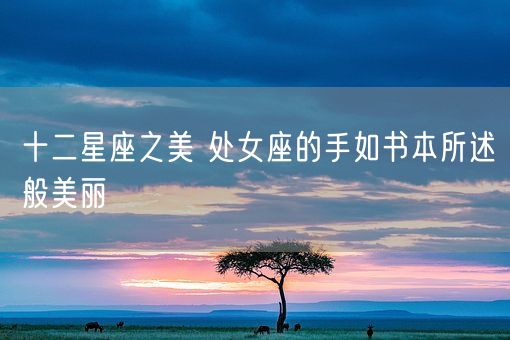 十二星座之美 处女座的手如书本所述般美丽(图1)