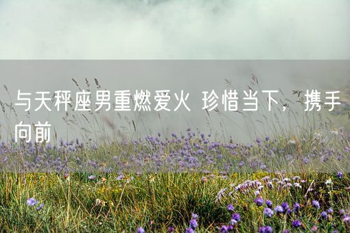 与天秤座男重燃爱火 珍惜当下，携手向前(图1)