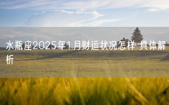 水瓶座2025年1月财运状况怎样 具体解析(图1)