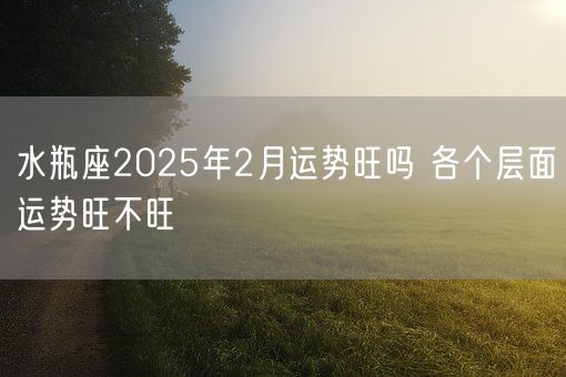 水瓶座2025年2月运势旺吗 各个层面运势旺不旺(图1)