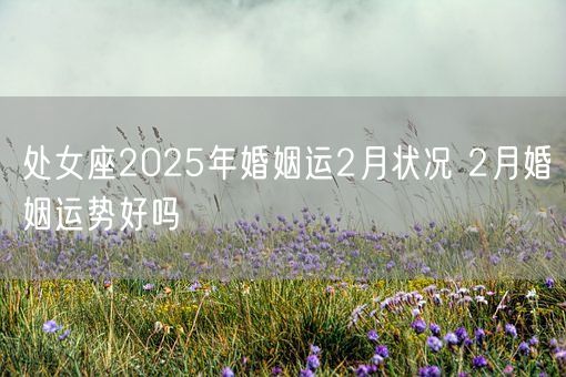 处女座2025年婚姻运2月状况 2月婚姻运势好吗(图1)