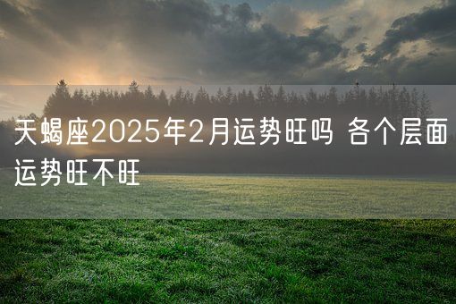 天蝎座2025年2月运势旺吗 各个层面运势旺不旺(图1)