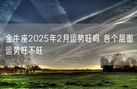 金牛座2025年2月运势旺吗 各个层面运势旺不旺(图1)